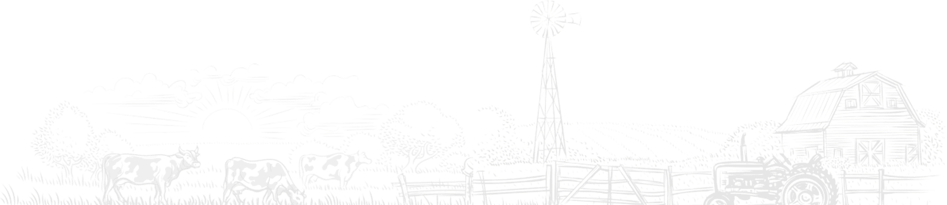 Black Pepper & Dry Ginger Sourcing - Sree Gajanana Spices